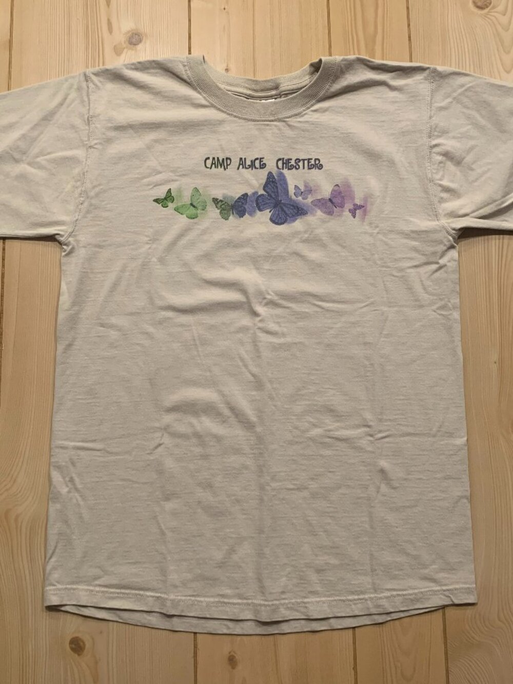 Vintage Y2K Girl Scouts Camp Alice Chester Wisconsin Butterflies T-Shirt Size M